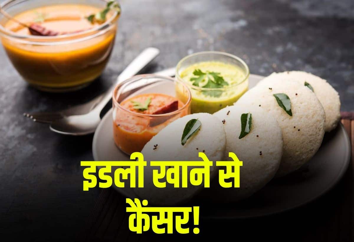 Eating idli risk of cancer! Plastic sheet was being used to make, Karnataka government warned hotels - Idli recipe controversy karnataka govt bans use of plastic in idli sambar making after carcinogen risk cancer causing elements