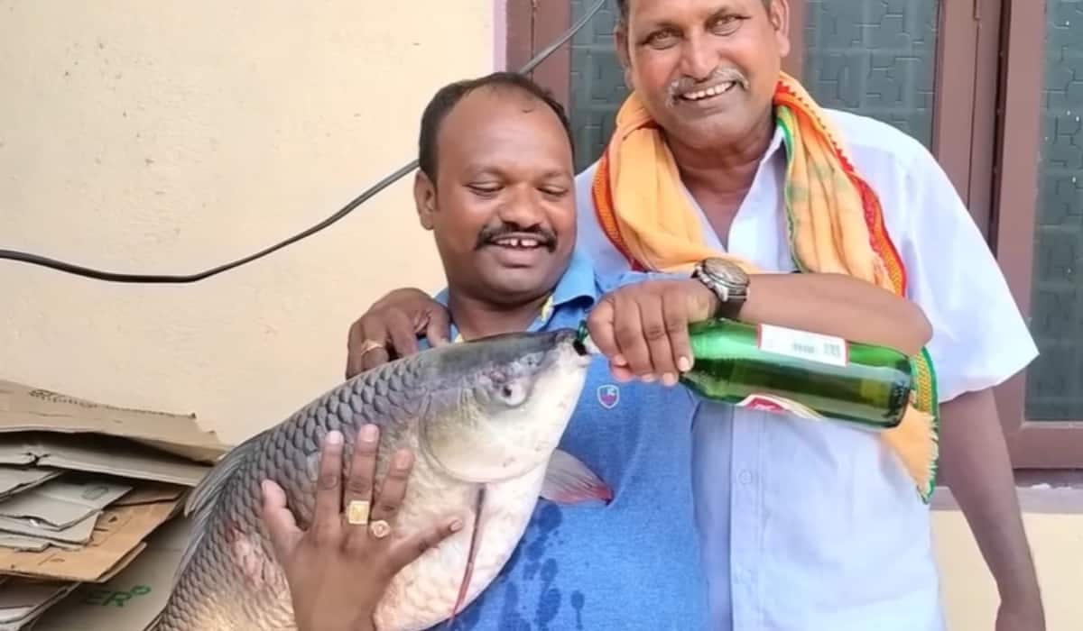 Viral Video: This person has made fish too drunk, users rage, watch video - Viral video man gives beer to fish internet angry funny or animal cruelty users tag pet for action