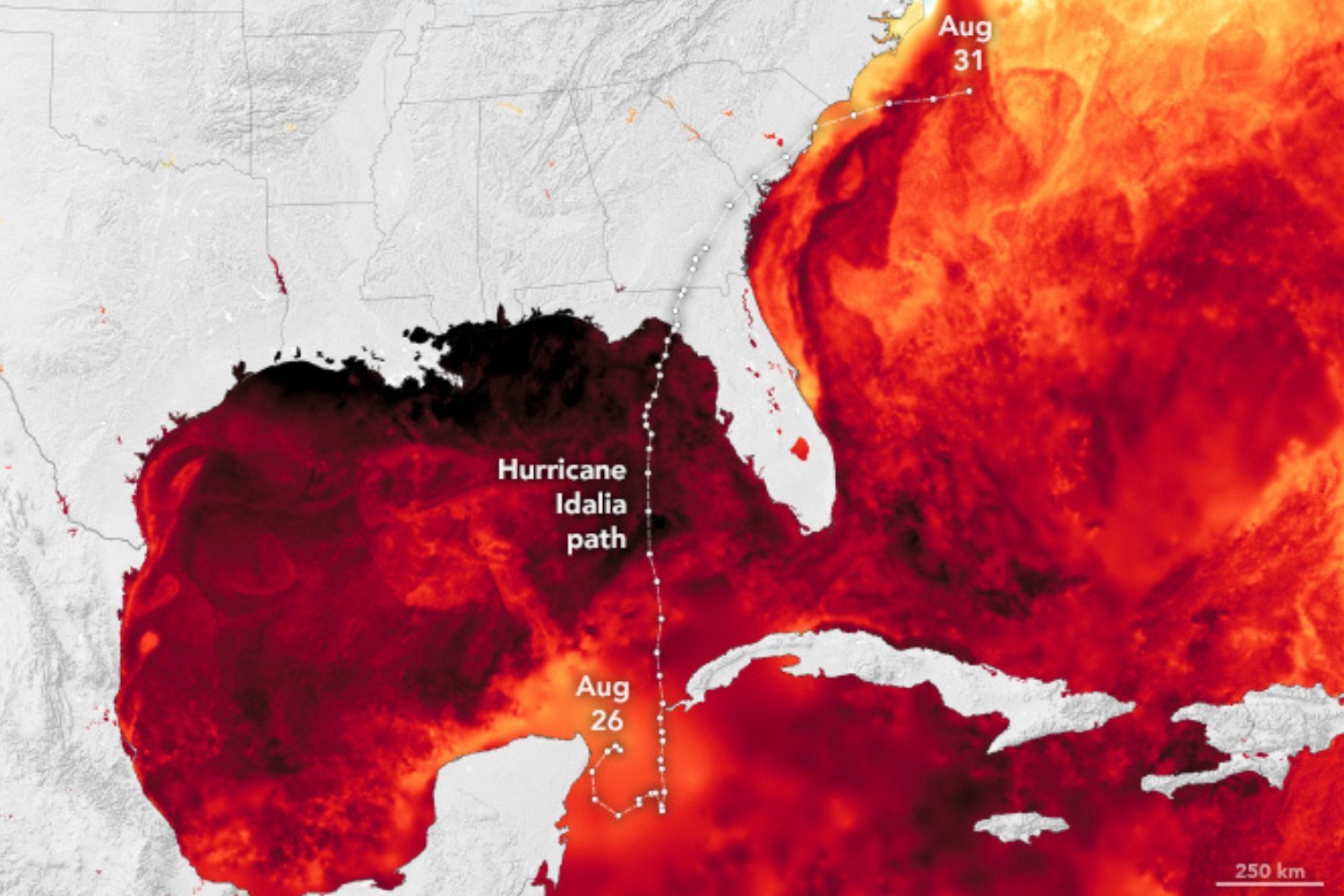 Idalia Heatmap Surface Temperatures